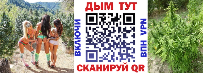 Каннабис Ganja  где найти   Озёрск 